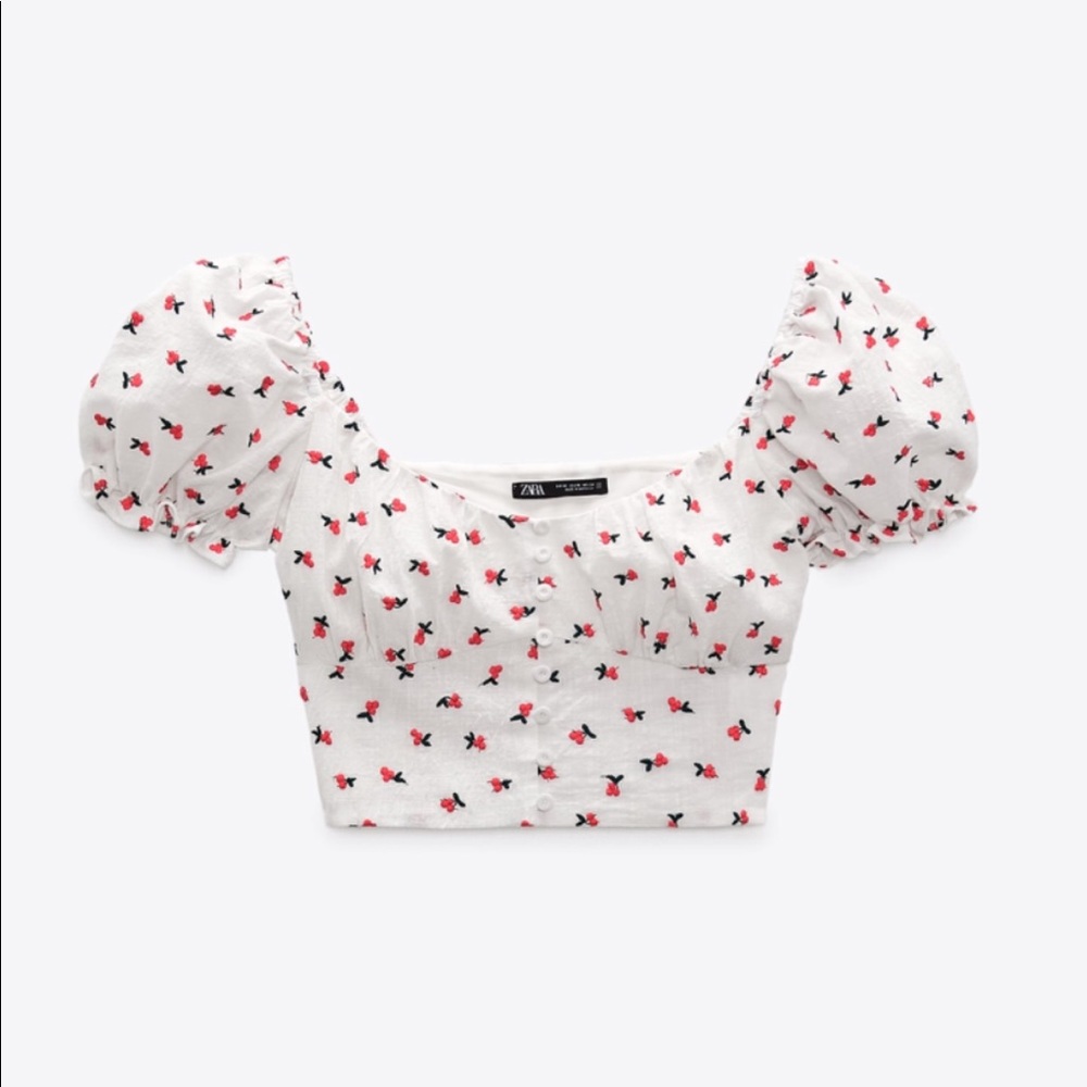 Zara Cherry top